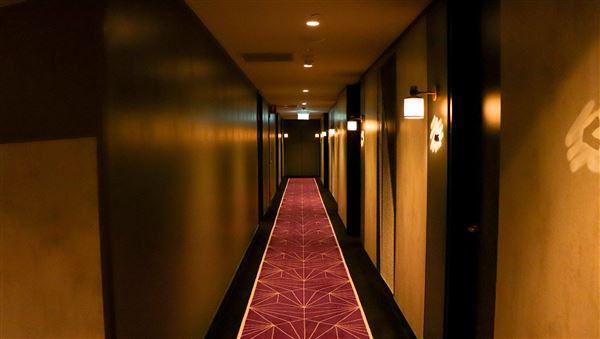 Hotel X (23/06/2023 - Credits: Screen Queensland)