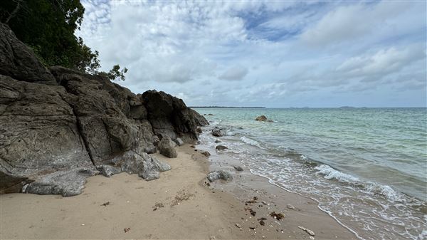 Garners Beach (26/11/2023 - Credits: Karen Jones / Tom Hoffie)