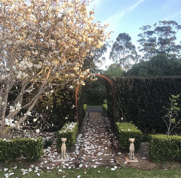 Tamborine Mountain Flower Farm (3/12/2025 - Credits: submitted by: Luke Scaddan)