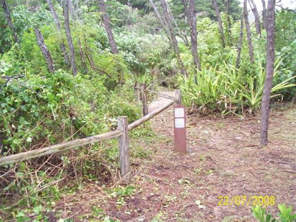 Mackay Region - Carlisle Island (23/07/2009)