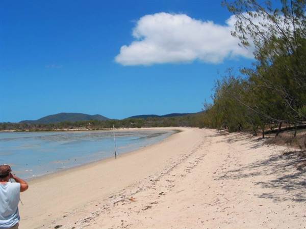 Dingo Beach (1/10/2007)