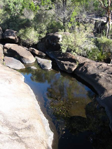 Warwick Region - Girraween National Park (25/09/2006)