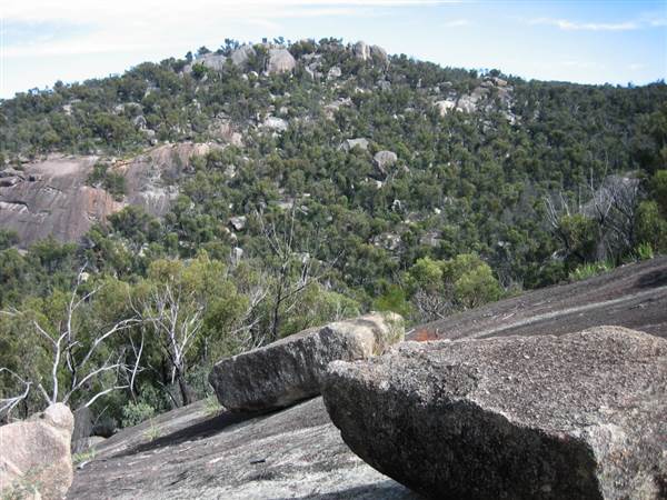 Warwick Region - Girraween National Park (25/09/2006)