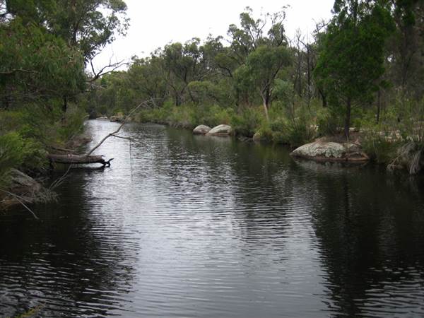 Warwick Region - Girraween National Park (25/09/2006)