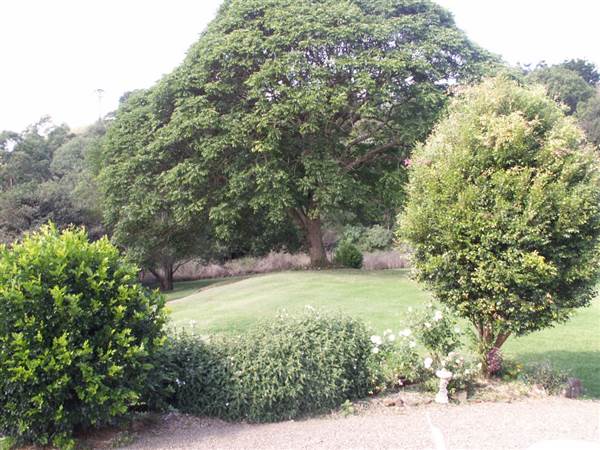 Maleny Manor (15/06/2006)