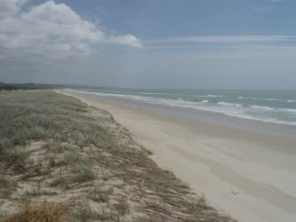Mulgumpin (Moreton Island) (14/05/2009)