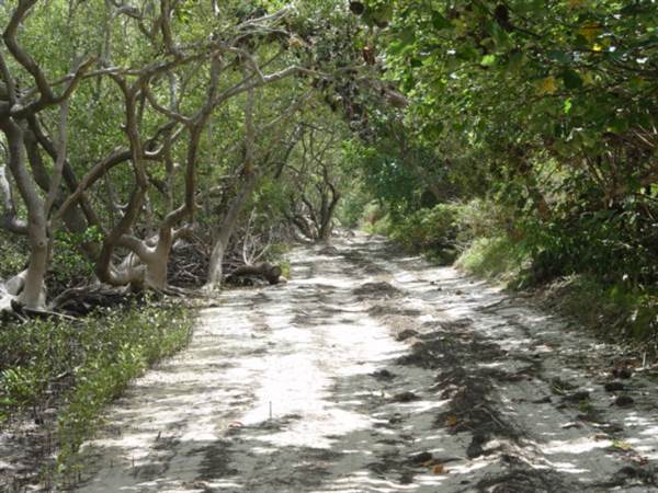 Mulgumpin (Moreton Island) (14/05/2009)