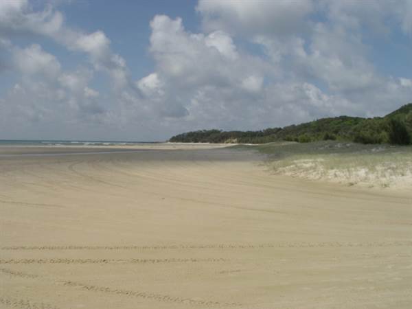 Mulgumpin (Moreton Island) (14/05/2009)