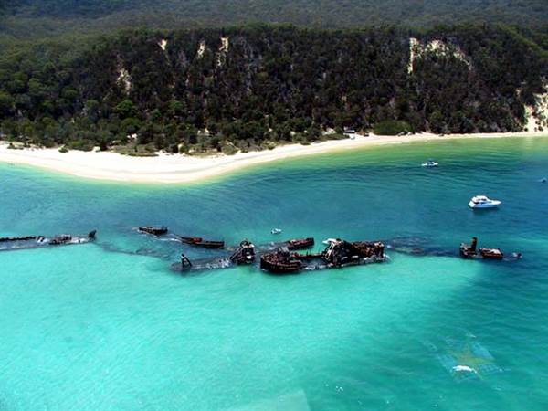 Mulgumpin (Moreton Island) (14/05/2009)
