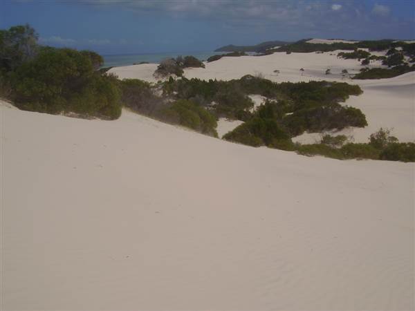 Mulgumpin (Moreton Island) (14/05/2009)