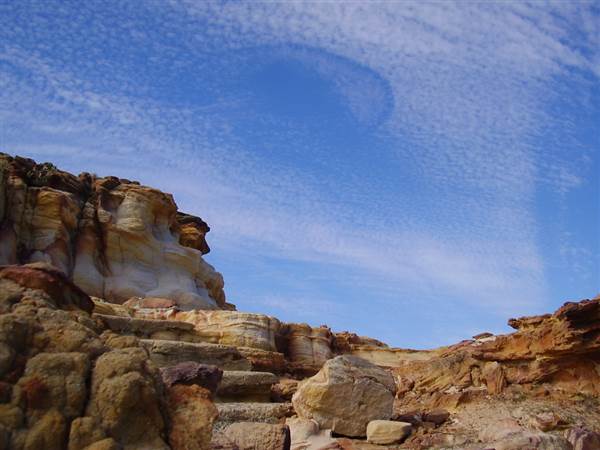 Mulgumpin (Moreton Island) (14/05/2009)