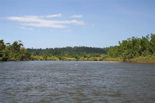 Mulgrave River (Cairns Region) (25/09/2007)