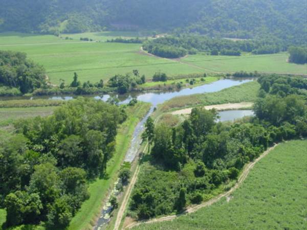 Mulgrave River (Cairns Region) (25/09/2007)