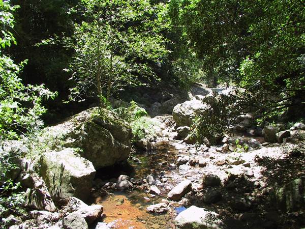 Natural Bridge (Arch & Waterfall) (27/07/2009)