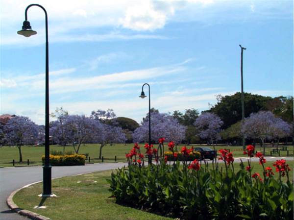 New Farm Park (12/11/2013)