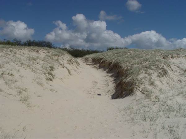 Minjeeribah (North Stradbroke Island) - Overview (29/01/2009)