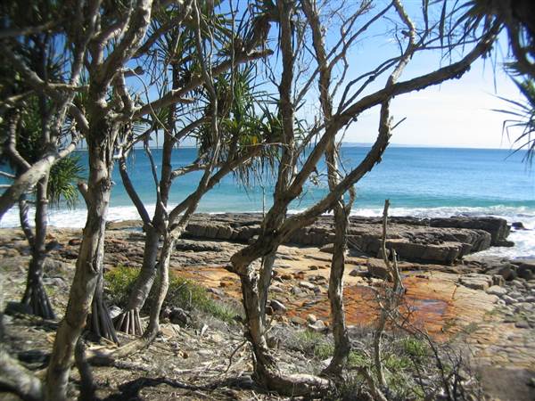 Sunshine Coast Region - Noosa National Park (12/10/2007)