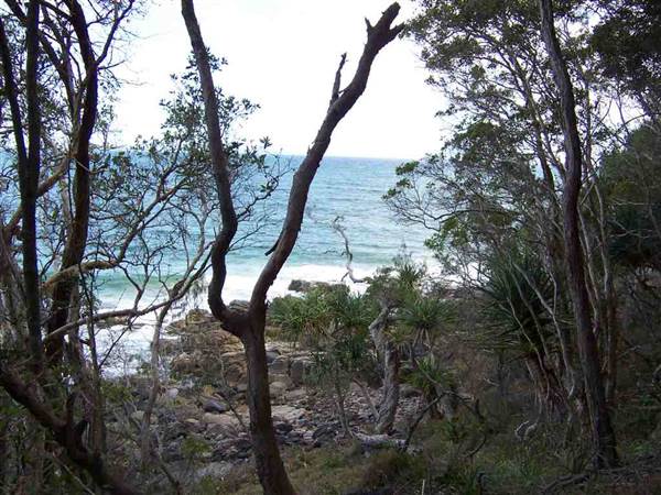 Sunshine Coast Region - Noosa National Park (12/10/2007)