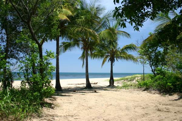 North Palm Cove to Ellis Beach (1/10/2007)