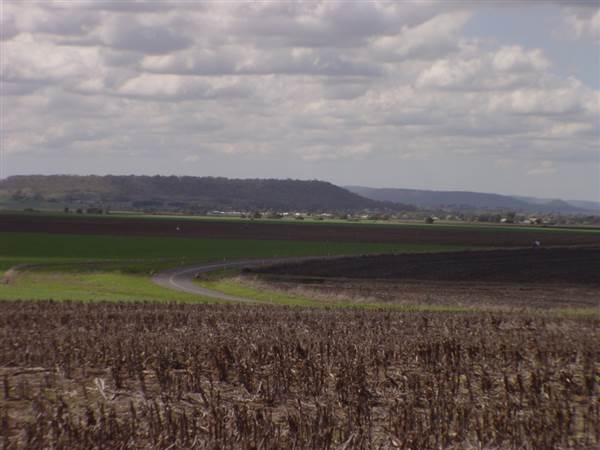 Wheat Fields (8/01/2008)