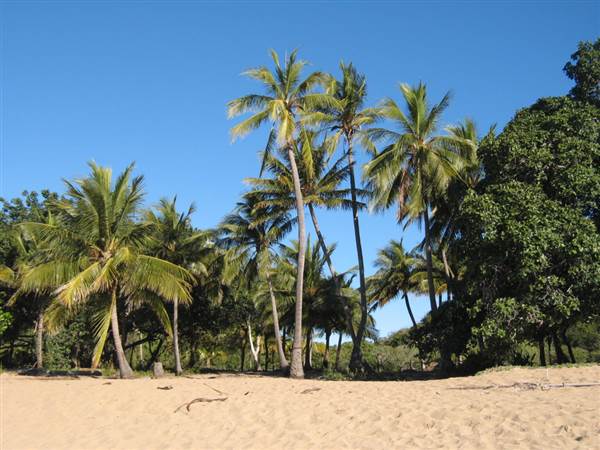 Radical Bay (Magnetic Island) (12/10/2007)