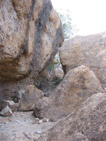 Rangelands Station (14/10/2005)
