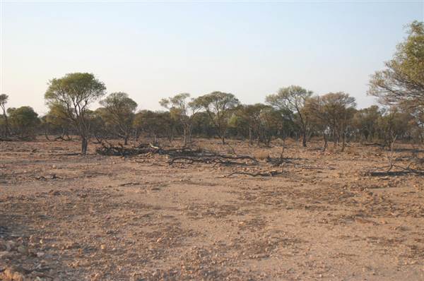 Rangelands Station (14/10/2005)