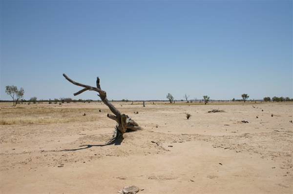 Rangelands Station (14/10/2005)