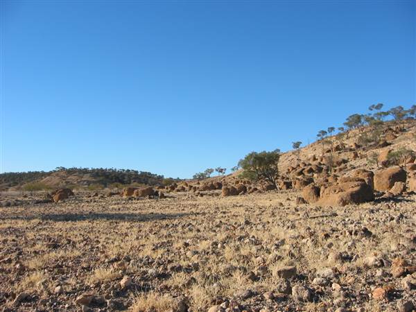 Rangelands Station (14/10/2005)