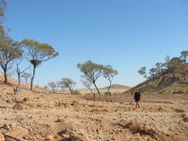 Rangelands Station (14/10/2005)