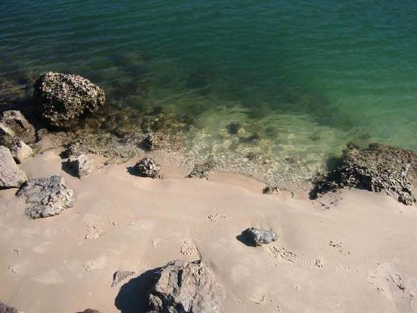 Tallebudgera Beach (17/12/2008)