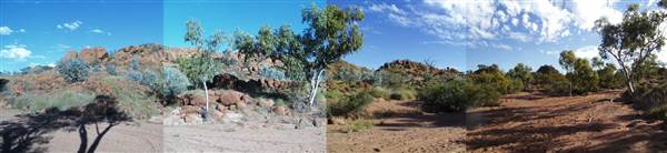 Sybella Creek (25/12/2002)