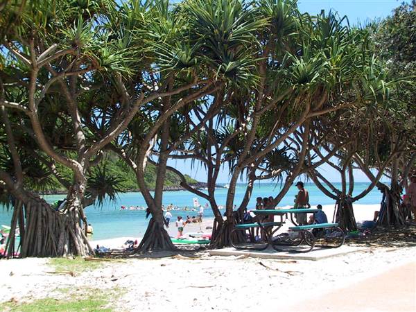 Tallebudgera Creek (26/09/2007)