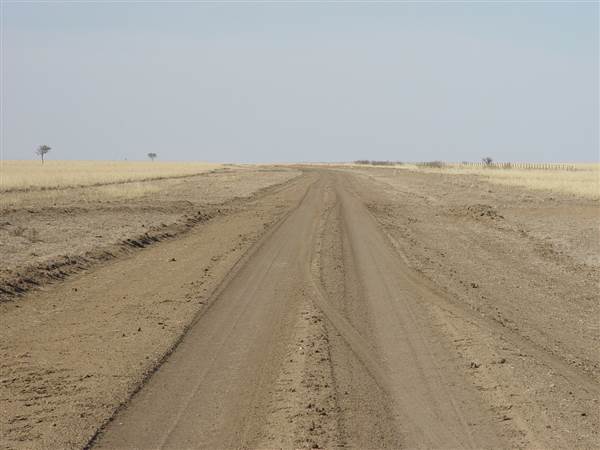 Muttaburra - Aramac Rd (18/11/2013 - Credits: Chris Strewe)