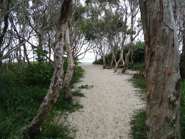 Minjeeribah (North Stradbroke Island) - Home Beach (1/02/2014 - Credits: Angus Ledgerwood)