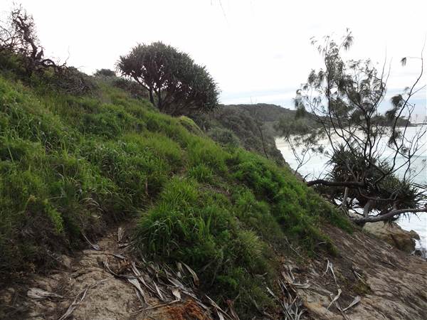 Gorge Walk, Point Lookout (3/02/2014 - Credits: Angus ledgerwood)