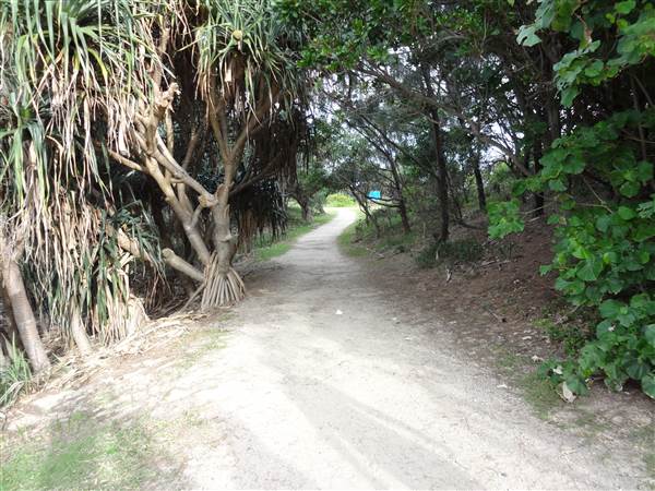 Gorge Walk, Point Lookout (3/02/2014)