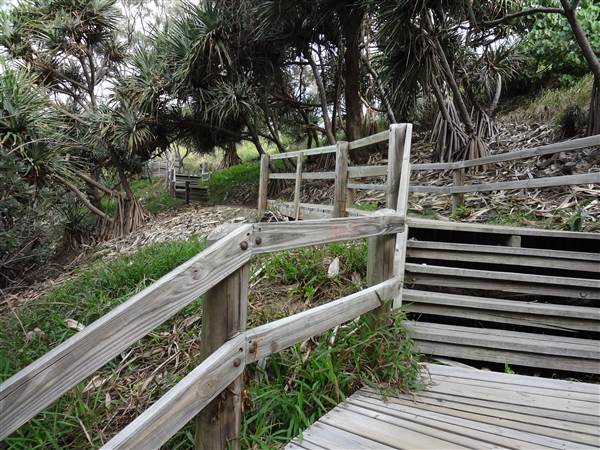 Gorge Walk, Point Lookout (3/02/2014)
