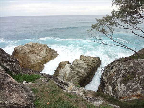 Gorge Walk, Point Lookout (3/02/2014)