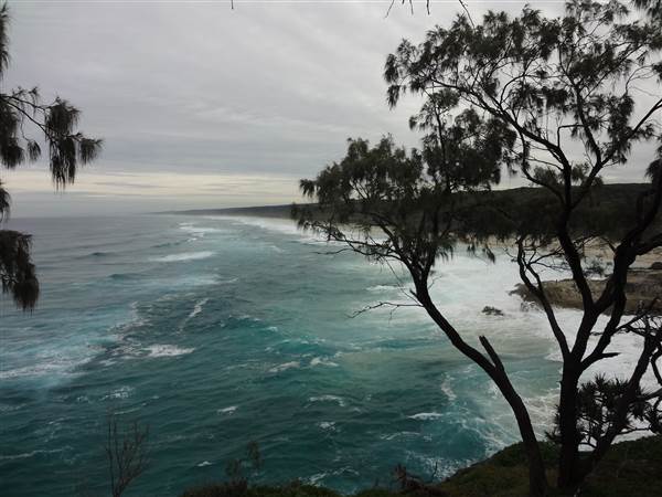 Gorge Walk, Point Lookout (3/02/2014)