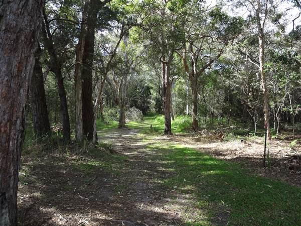 Coochiemudlo Island (4/02/2014)
