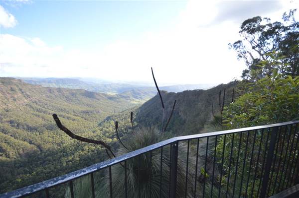O'Reillys Rainforest Retreat (19/05/2014)