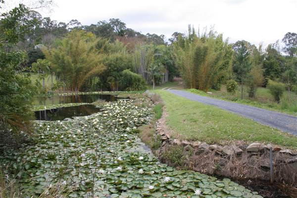 Coomera River (Upper) (21/05/2014 - Credits: Duncan Jones)
