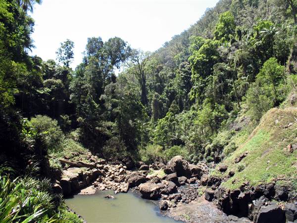 Purling Brook Falls - Springbrook National Park (21/05/2014 - Credits: Duncan Jones)