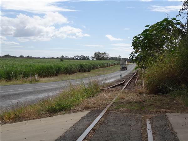 Roadside Cane Train Track (28/05/2014 - Credits: Angus Ledgerwood)