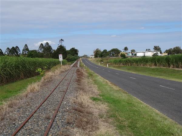 Roadside Cane Train Track (28/05/2014 - Credits: Angus Ledgerwood)