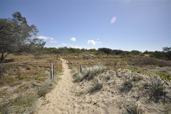 Kings Beach (Bowen) (23/07/2014 - Credits: Angus Ledgerwood)