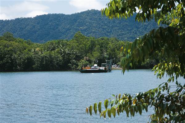 Daintree River (25/08/2014)