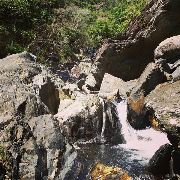 Spring Creek - near Port Douglas (3/10/2014)
