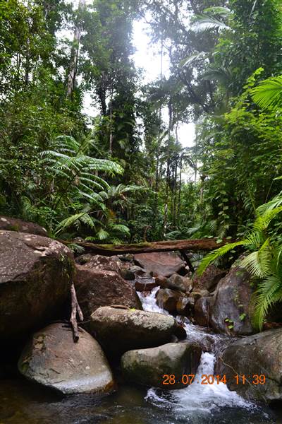 Tully Gorge National Park (18/08/2014)